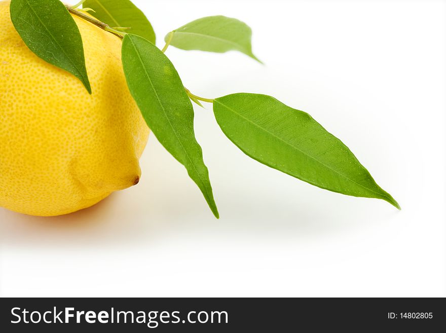 An image of a yellow lemon and green leaves