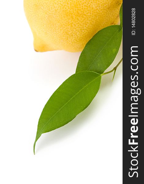 An image of a yellow lemon and green leaves