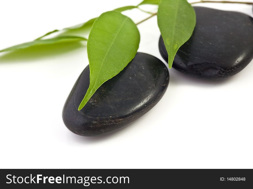 An image of two black stones and green leaves. An image of two black stones and green leaves