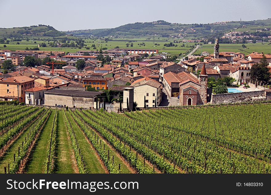 The Italian town of Soave, famous for its wine and grape vineyards