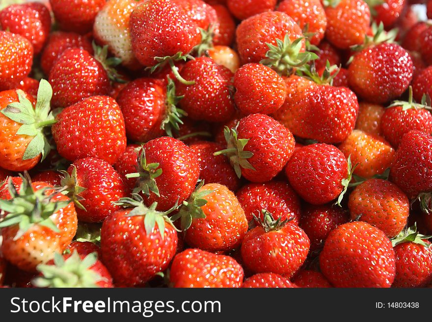 Ripe red strawberries with leaves. Ripe red strawberries with leaves