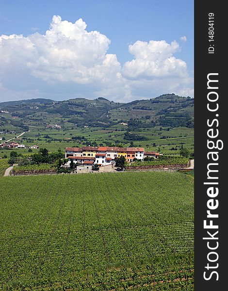 A farm with grape vineyards in the Soave region, famous for wine