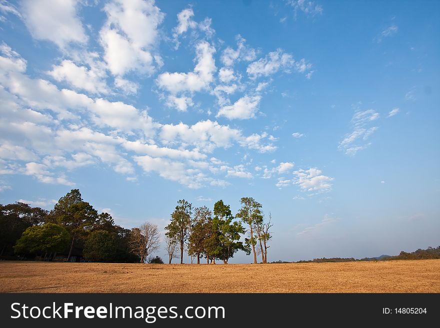 The late afternoon in Thailand national park image