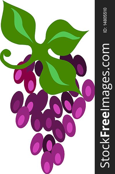 Grape cluster with green leaf- illustration. Grape cluster with green leaf- illustration