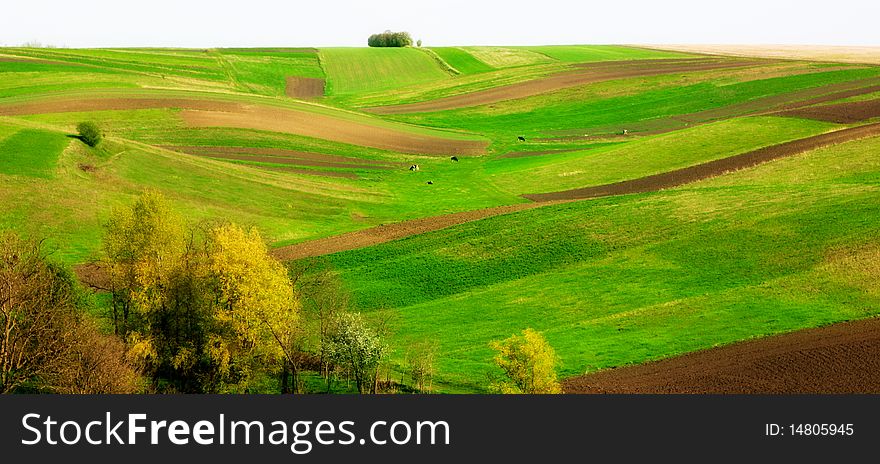 An image of bright fields in spring