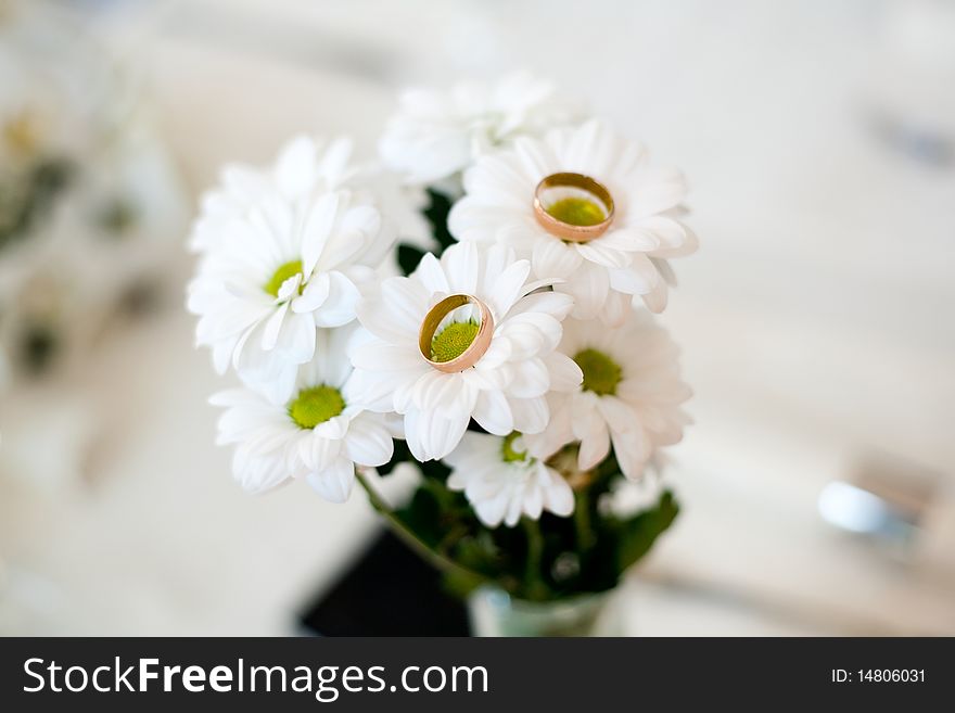 An image of two golden rings on white flowers