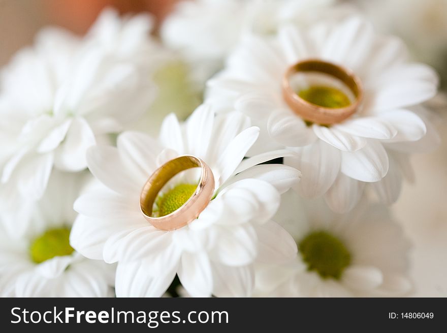 An image of golden rings on white flowers. An image of golden rings on white flowers