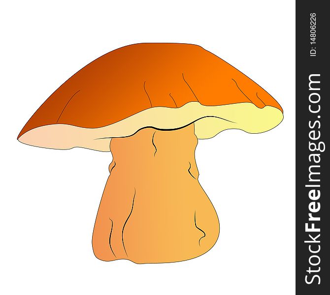 Bright and colorful large forest mushroom