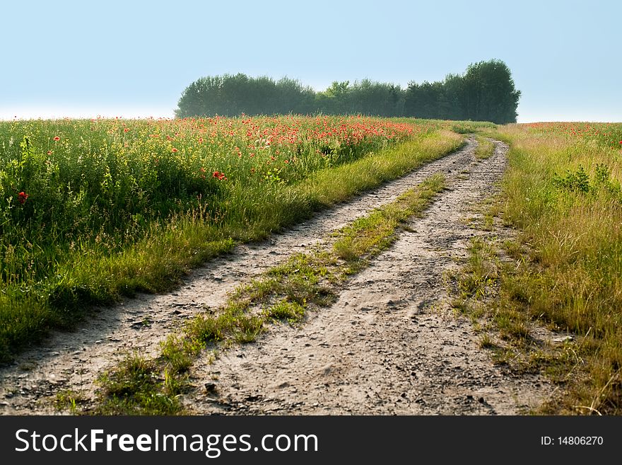 An image of a road in the field