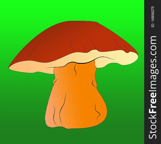 Bright and colorful large forest mushroom
