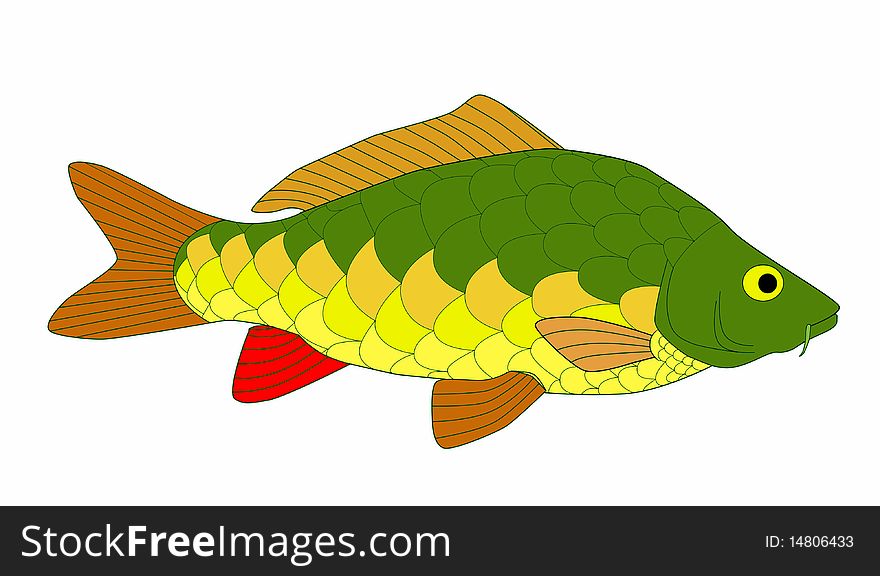 Bright and colorful beautiful carp