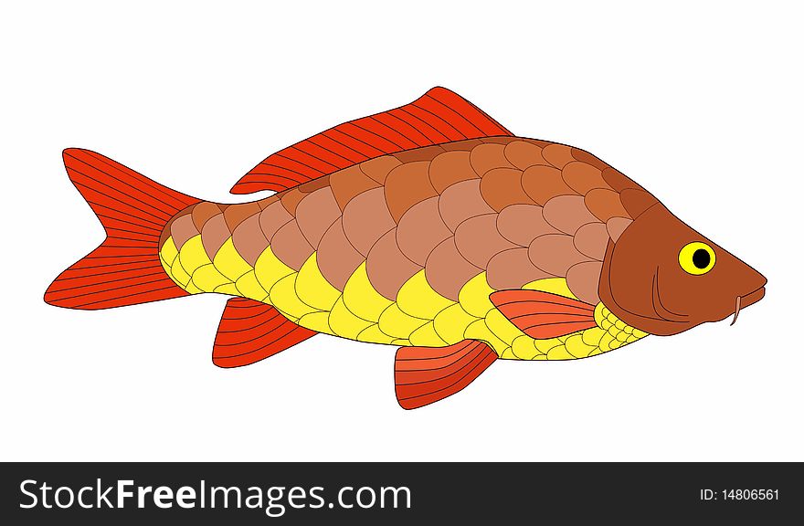 Bright and colorful beautiful carp