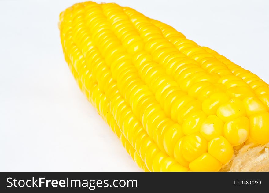 A fresh sweet corn on white background