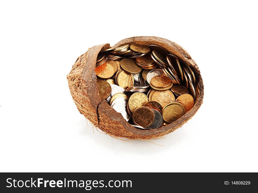 A money in cocoa shell