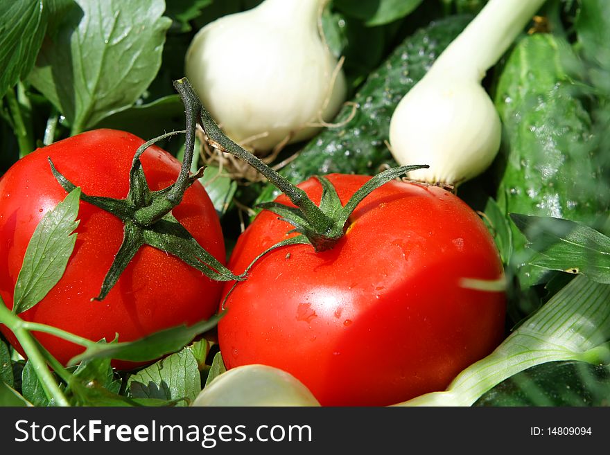 Vegetables basket, tomato, onion, salad prepared. Vegetables basket, tomato, onion, salad prepared