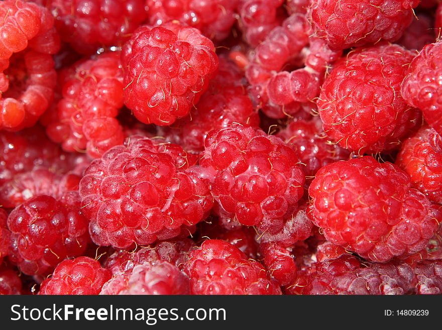 Group of red raspberries close up. Group of red raspberries close up