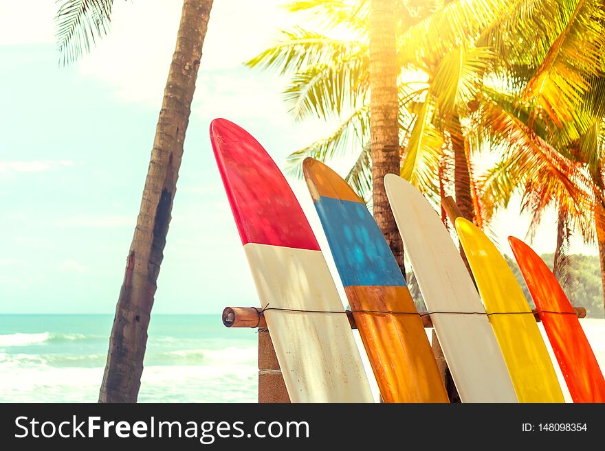 Many Surfboards Beside Coconut Trees At Summer Beach With Sun Light And Blue Sky.