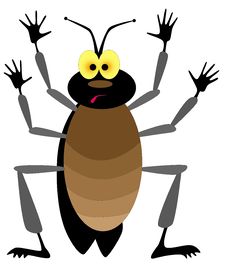 Cockroach Royalty Free Stock Photos Cockroach Royalty Free Stock Photos