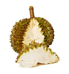 Durian. Giant Tropical Fruit. Stock Photography Durian. Giant Tropical Fruit. Stock Photography