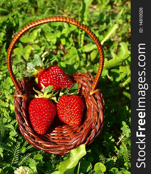 Strawberries in basket on green grass