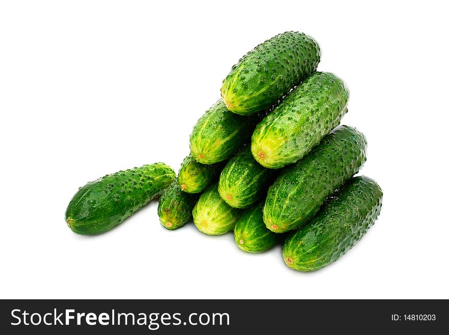 Green ripe cucumbers on a white background. Green ripe cucumbers on a white background