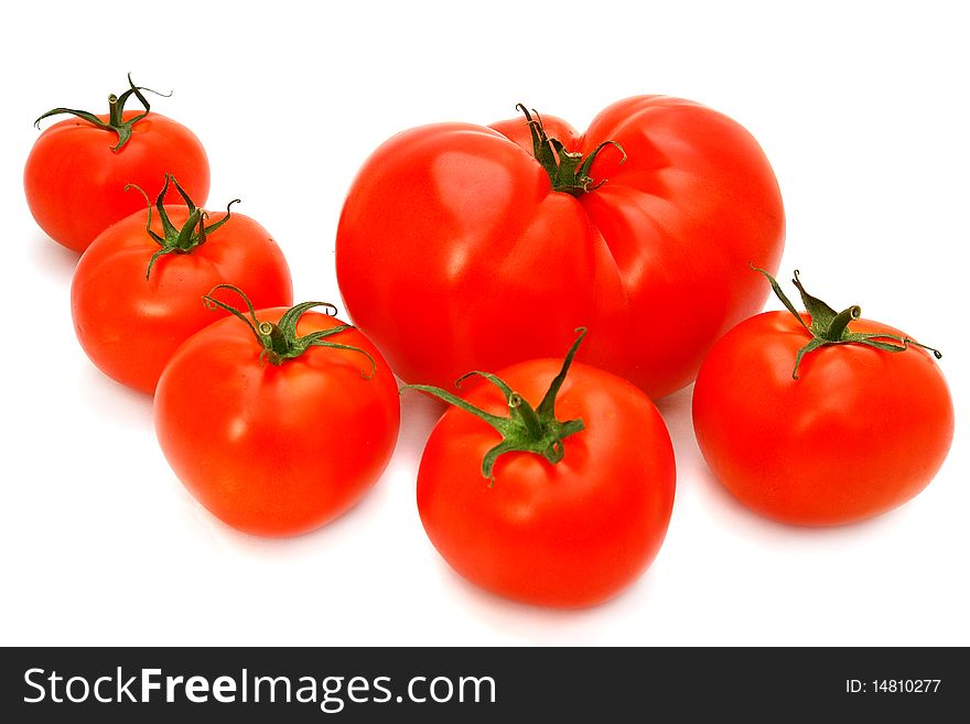 Tomatoes Group