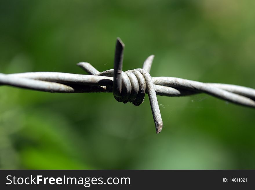A close up of a barbed wire fence. A close up of a barbed wire fence