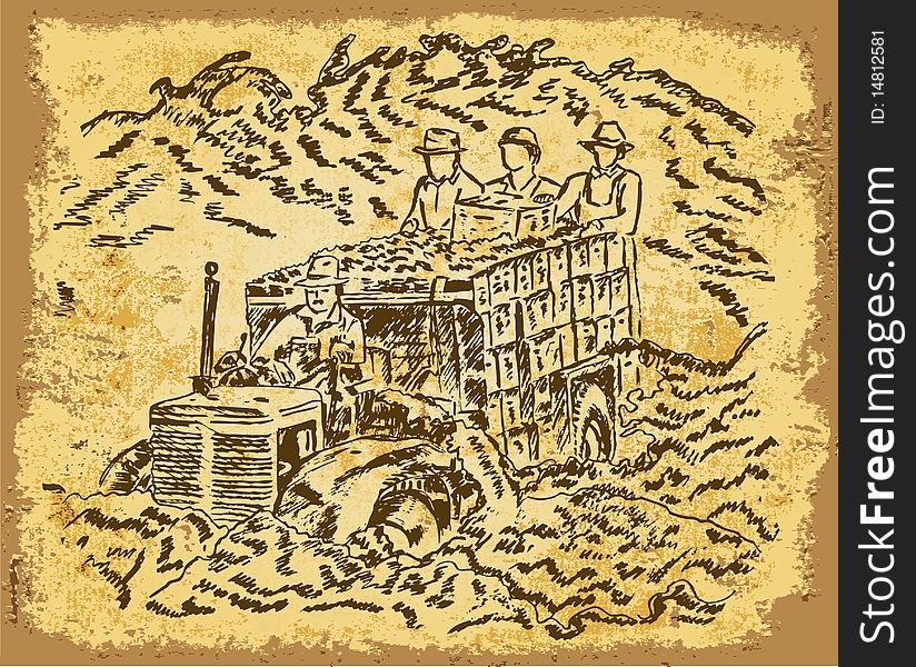 Harvesting - vintage drawing vector illustration