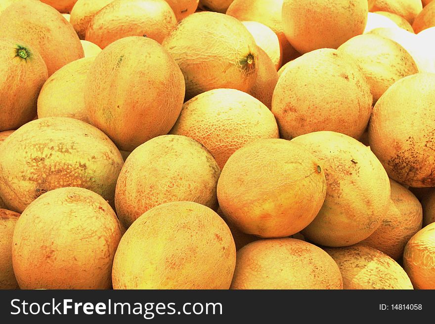 Fresh picked cantelope piled up under a tree to ripen. Fresh picked cantelope piled up under a tree to ripen.