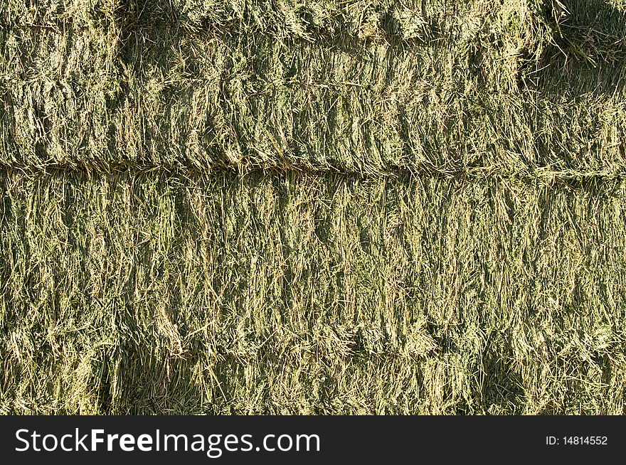 Side view of square bales of fresh alfalfa hay. Side view of square bales of fresh alfalfa hay