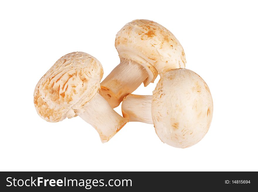 Three champignons isolated on white background.