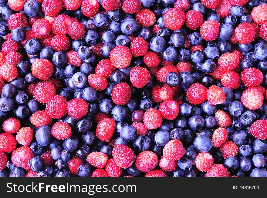 Background of forest wild strawberry and bilberry