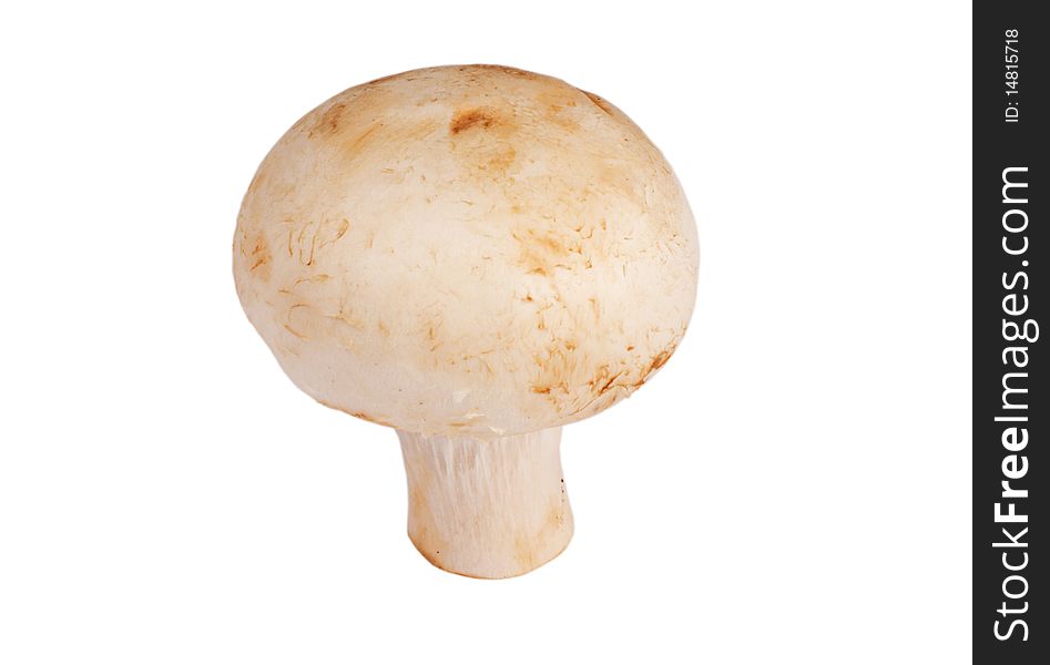 Single champignon isolated on white