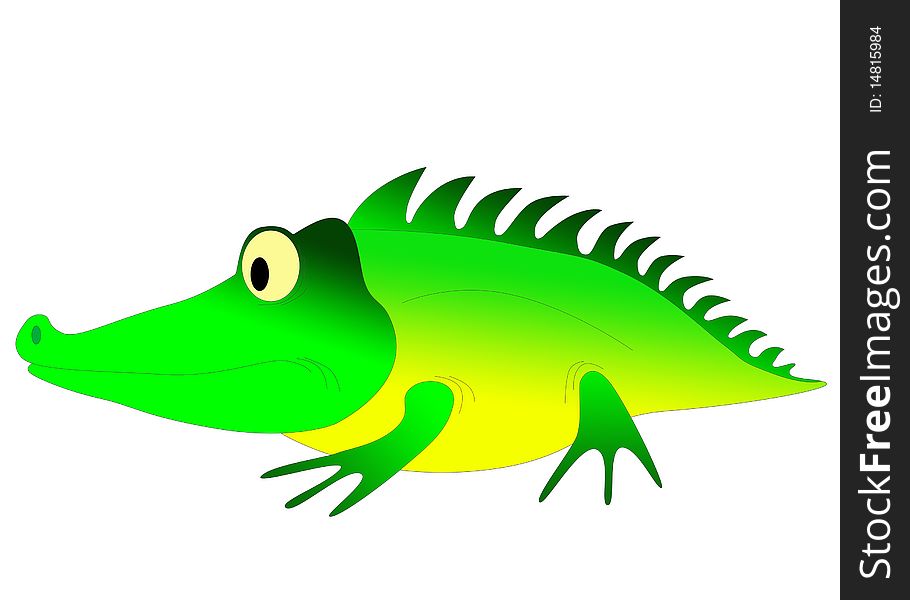 Crocodile