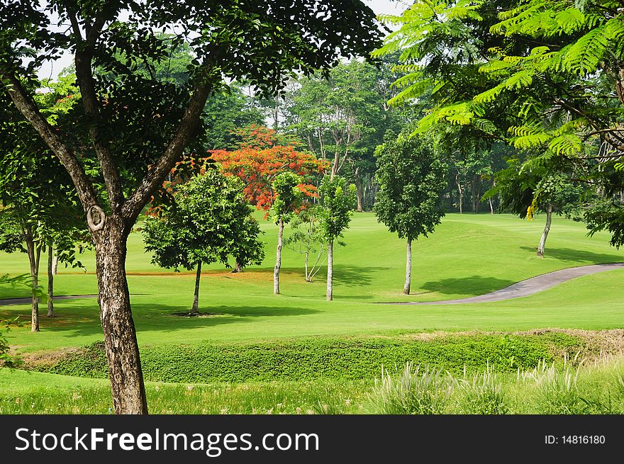 Trees around a beautiful golf course in the Philippines. Trees around a beautiful golf course in the Philippines