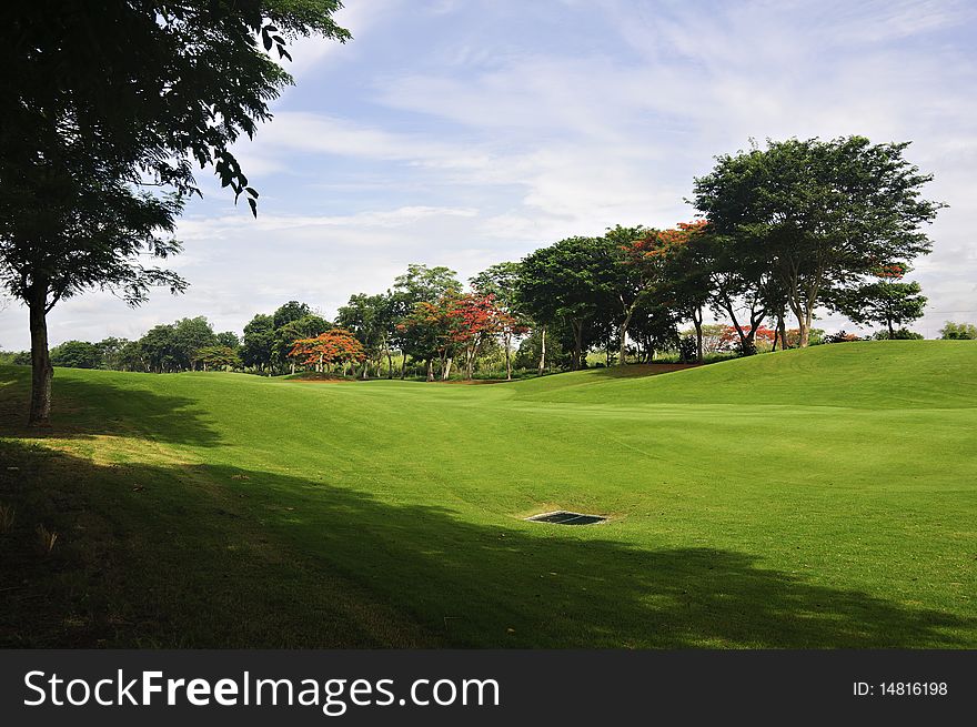 Line of trees in a beautiful golf course in the Philippines. Line of trees in a beautiful golf course in the Philippines
