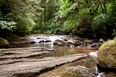 Sweet Creek Falls Stock Image Sweet Creek Falls Stock Image