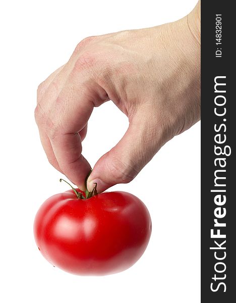 Whole tomato in the human hand isolated over white background. Whole tomato in the human hand isolated over white background