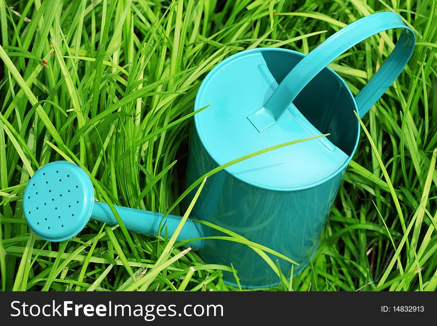 Watering Can In Grass