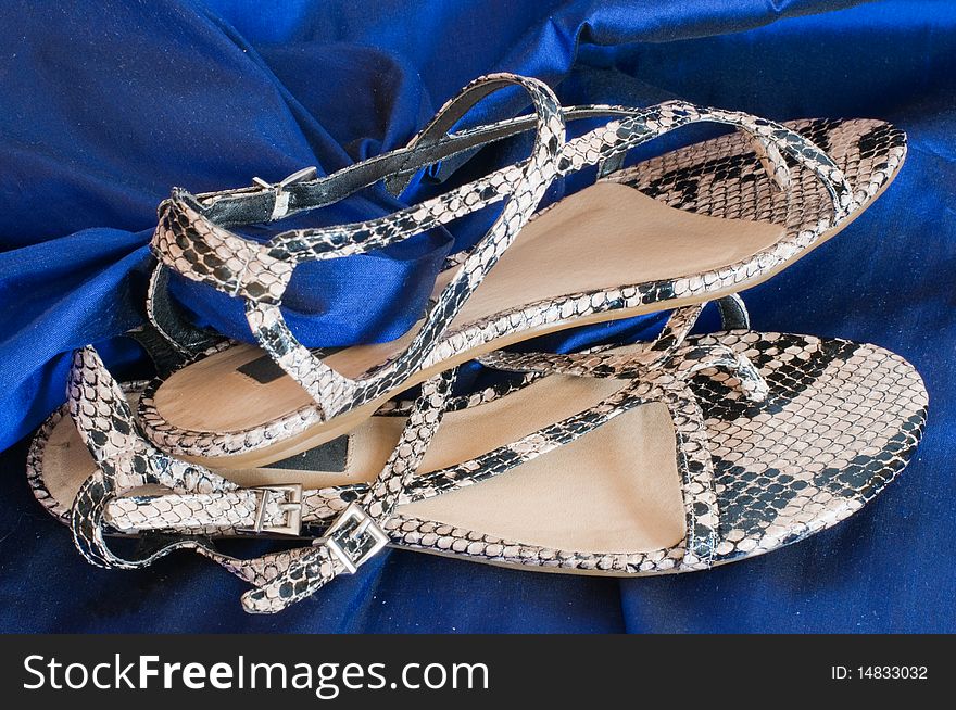 Lady's sandals on a blue background