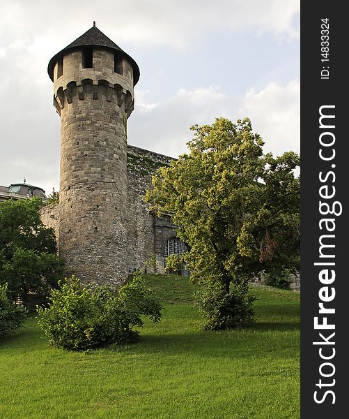 Buda Castle and the bastion of green space. Buda Castle and the bastion of green space.