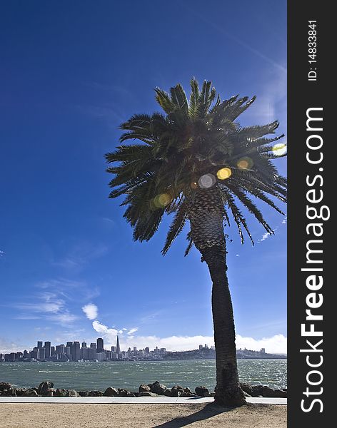 A dynamic view of downtown San Francisco from Treasure Island