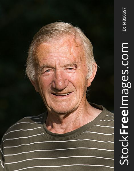 Portrait of the grey-haired elderly man in the summer in village on the nature. Portrait of the grey-haired elderly man in the summer in village on the nature