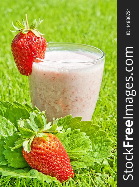 Strawberry milkshake - in the garden grass