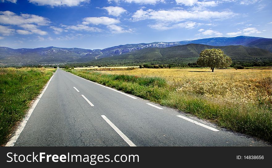 Landscape with road and fields. Landscape with road and fields