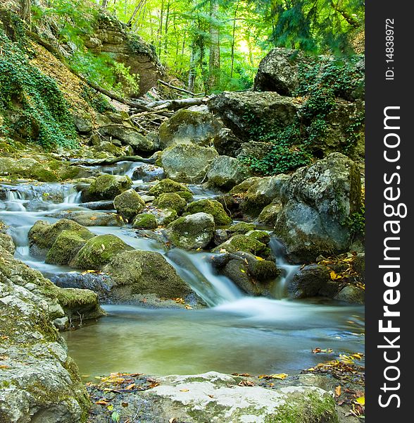 The beautiful running water in forest river