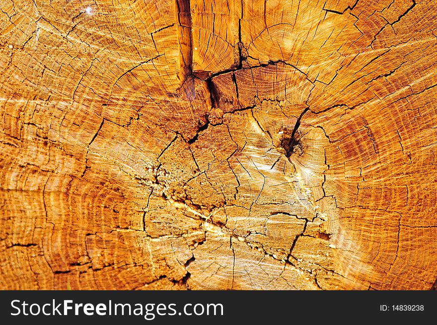 Abstract background. Old wooden texture.