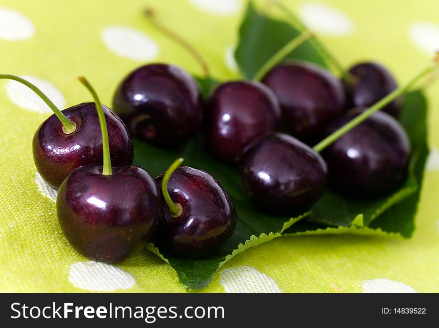 Ripe cherries on cherry leaf background .