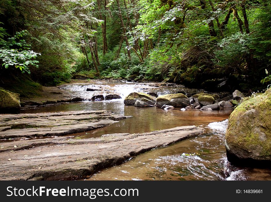 Sweet Creek falls in Oregon USA