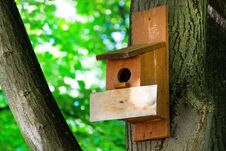 Birdhouse On A Tree In Forest Park On Spring Day, Hand Wood Shelter For Birds Royalty Free Stock Photos Birdhouse On A Tree In Forest Park On Spring Day, Hand Wood Shelter For Birds Royalty Free Stock Photos